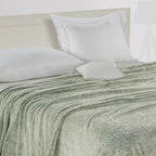 Polar fleece 300 GSM Sage Green Ac room Dohar _90 x 100 inches
