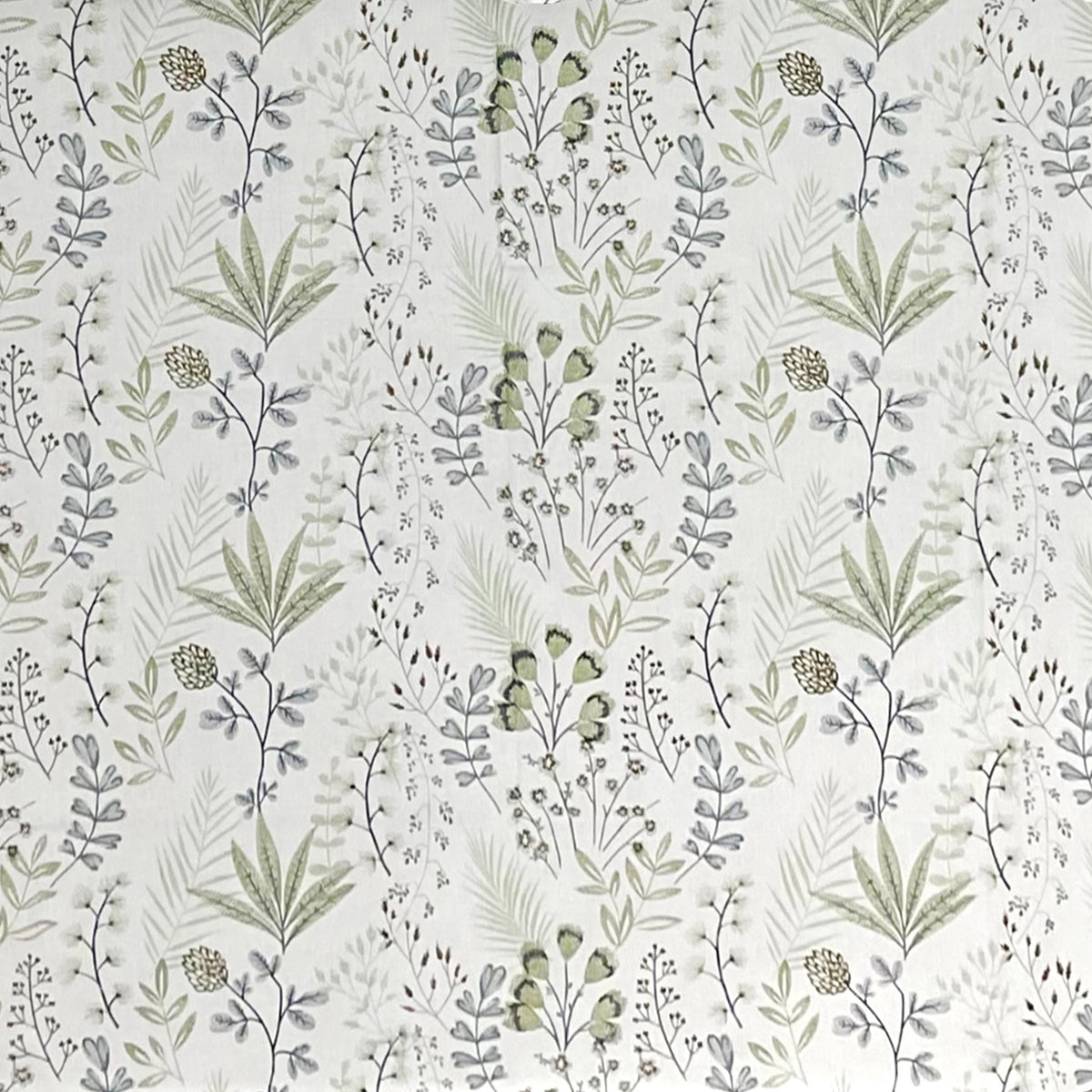 Ivory Sage Botanical Sprigs 180 TC Pure Cotton Bedsheet Set with Pillow Cover