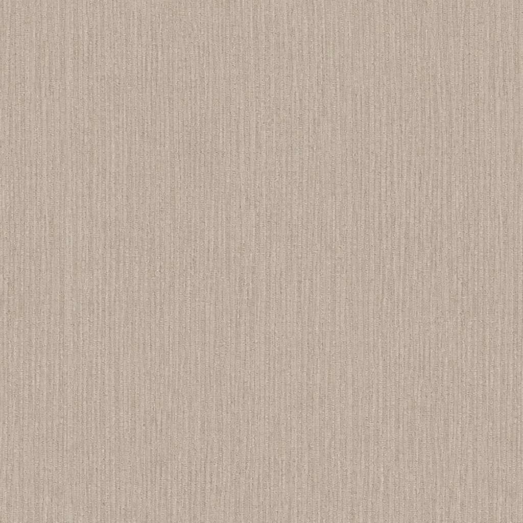 Solid Beige Pure Cotton Bed Cover King Size 90 x 100 Inches with 2 Pillow Covers Pack of 1