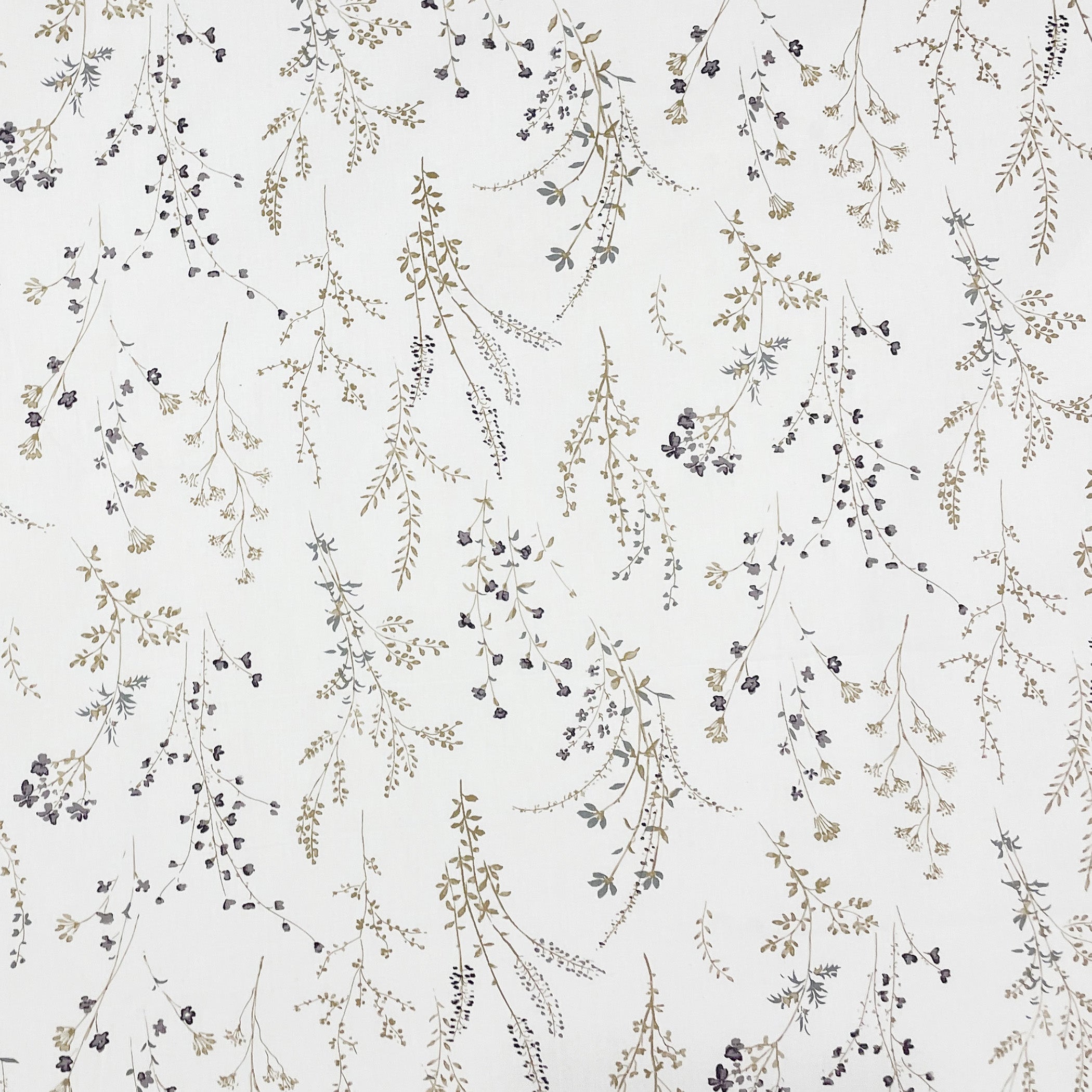 Elegant Ivory Botanical Pure Cotton 210 TC Super King Bedsheet with 2 Pillow Covers (108x108 Inches)