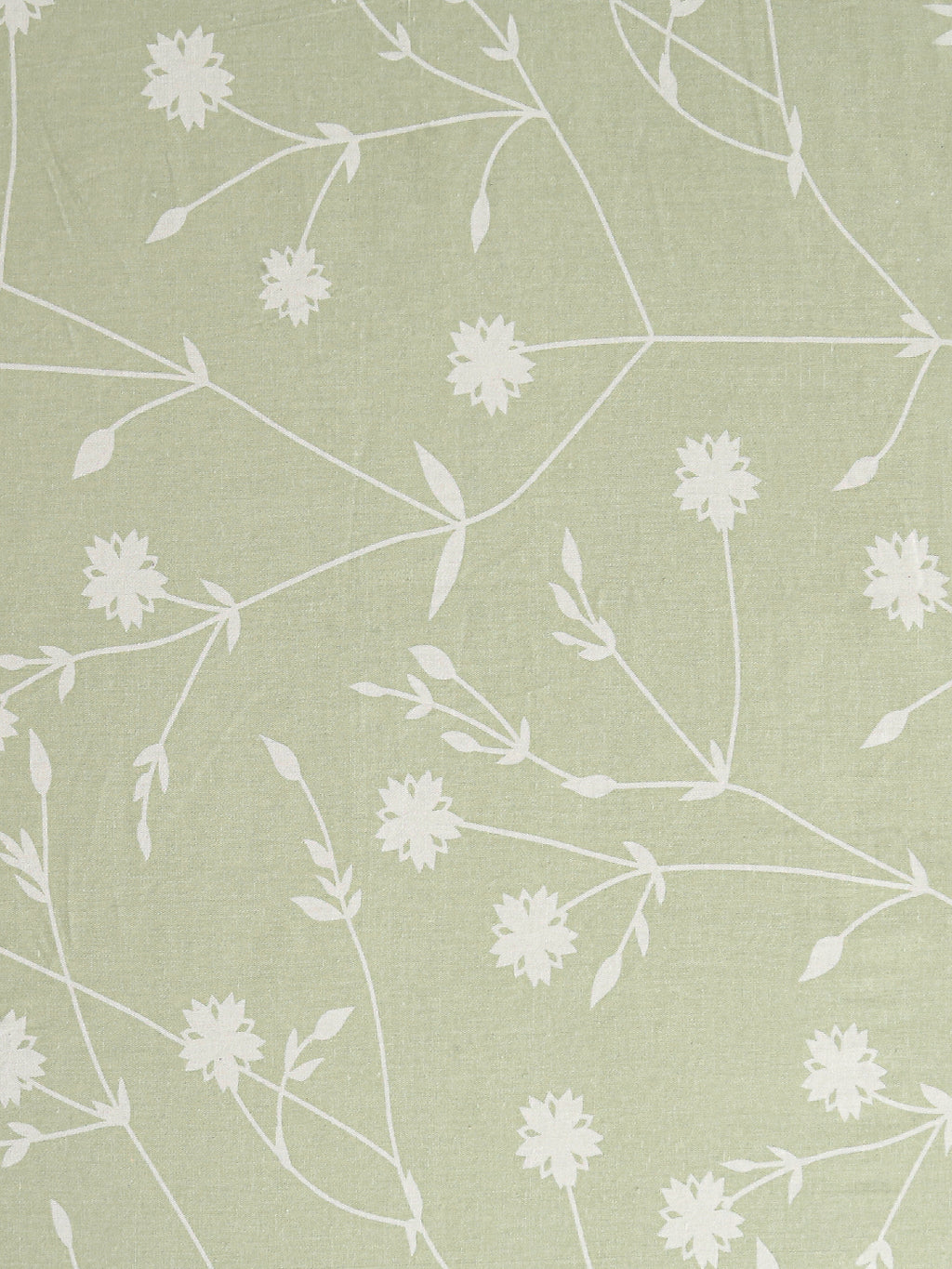 Floral Vine Sage Green 210 TC Pure Cotton Double Bedsheet with 2 Pillow Covers (90 x 108 Inches)
