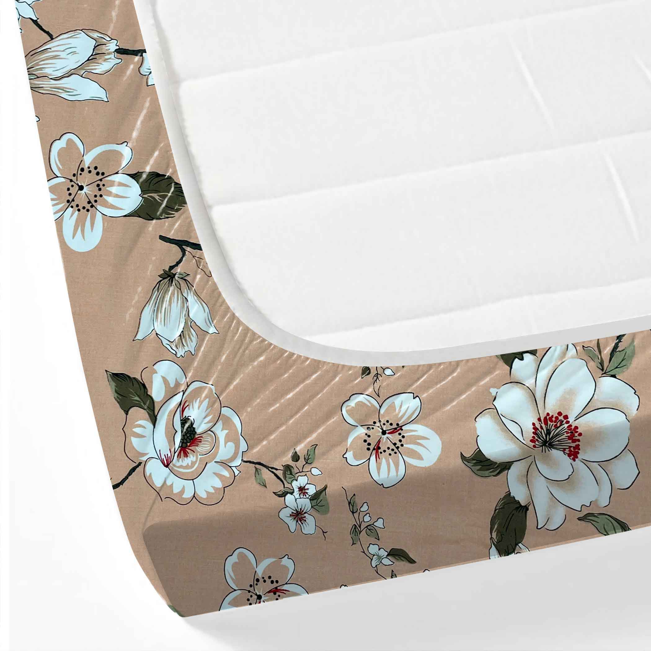 Peach Spring - 210TC Pure Cotton Queen Fitted Bedsheet (60x73x10 Inches)