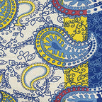 Ivory Rainbow Paisley 120 TC Pure Cotton Bedsheet Set with Pillow Cover