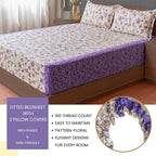 Violet Meadow Cream & Purple Floral 160 TC Pure Cotton Bedsheet with Pillow Cover