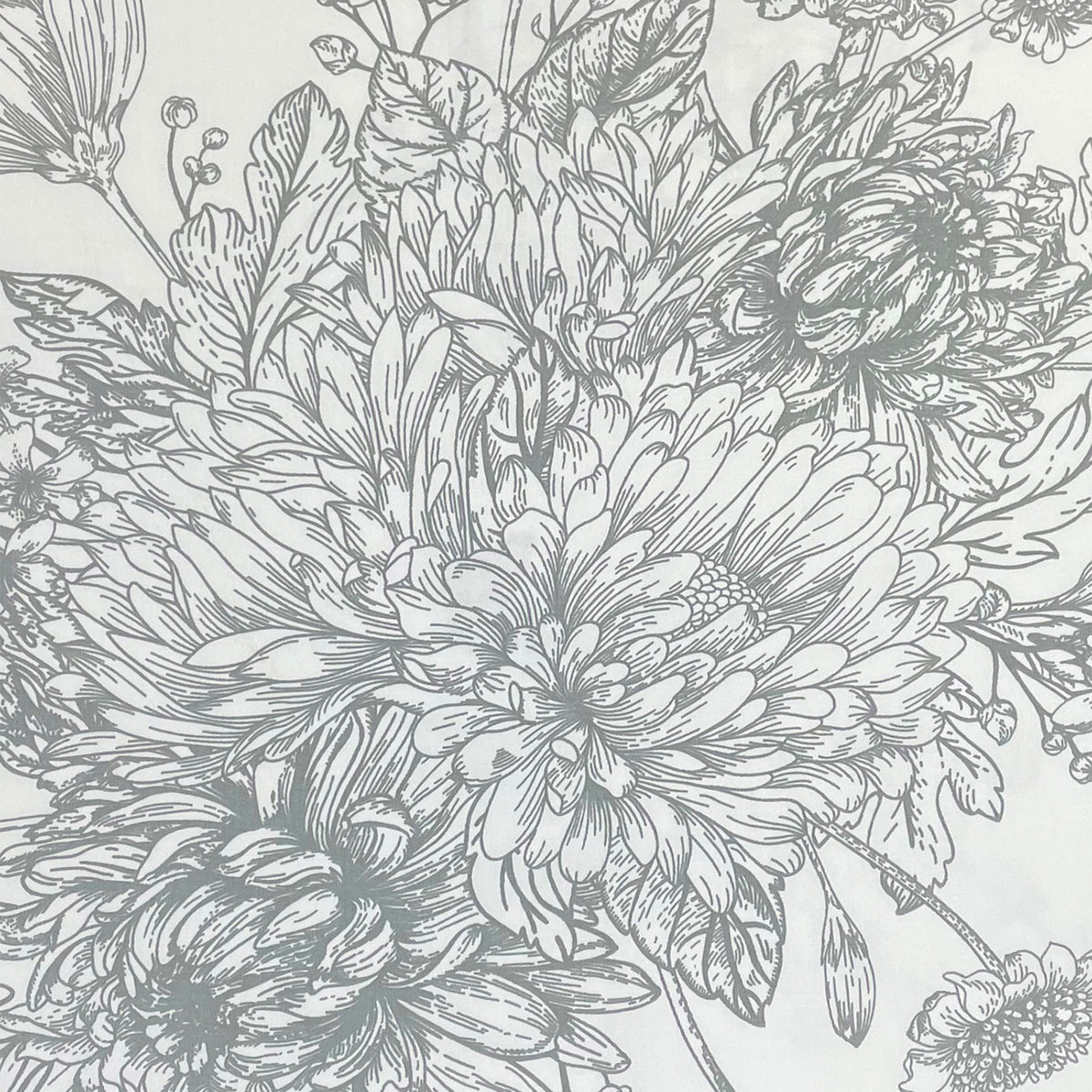 Ivory Botanical Sketch 250 TC Pure Cotton Bedsheet Set with Pillow Cover
