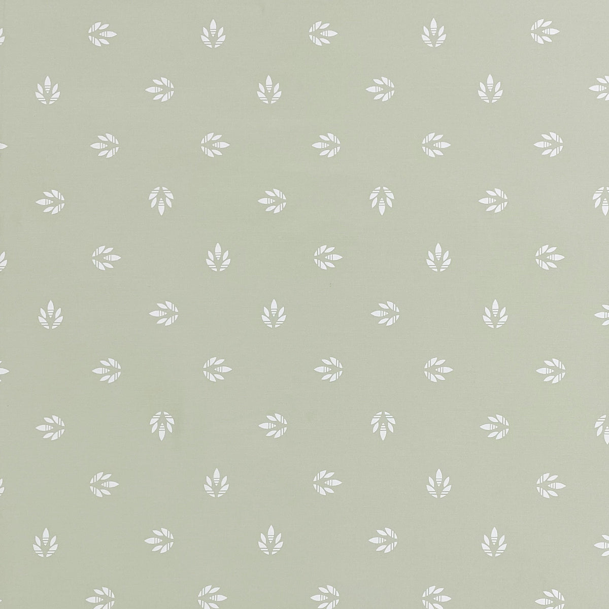 Sage Petite Leaf 250 TC Pure Cotton Bedsheet Set with Pillow Cover