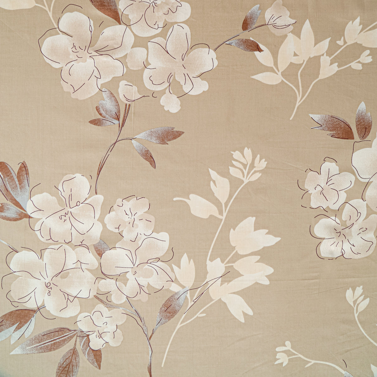 Champagne Magnolia Bloom 250 TC Pure Cotton Bedsheet Set with Pillow Cover